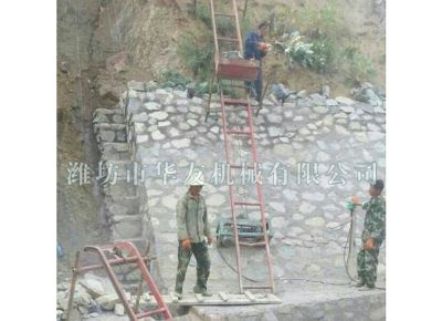 點擊查看詳細(xì)信息<br>標(biāo)題：華友機(jī)械建筑用爬山虎 閱讀次數(shù)：5449